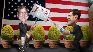 Rubio and Bush