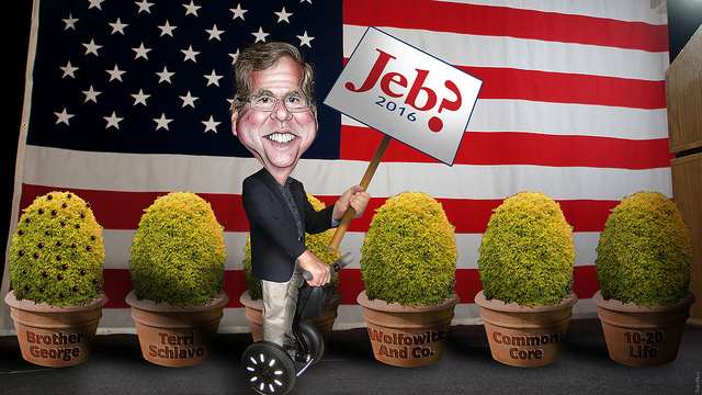 Jeb