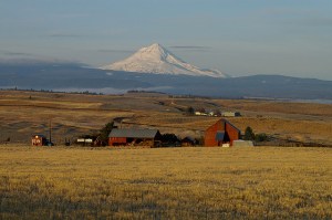 rural Oregon