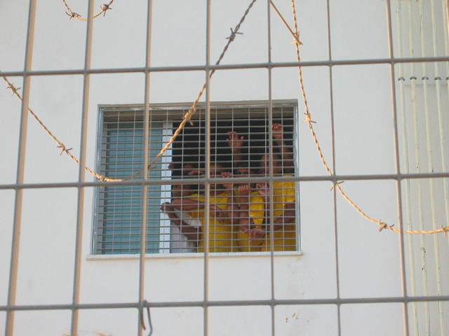 immigrant detention facility